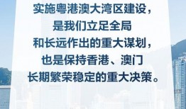 大湾区新闻爆料网站有哪些,聚焦热点，洞察湾区动态