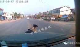 清远都市爆料事件视频,视频揭露惊人真相，引发社会热议