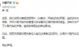抖音爆料小鹏事件视频下载,视频下载背后的真相揭秘