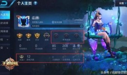 王者樱花爆料视频大全下载,精彩瞬间尽收眼底