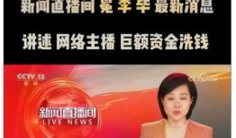 央视新闻爆料王冕是谁,王冕是谁？揭秘其身份背景