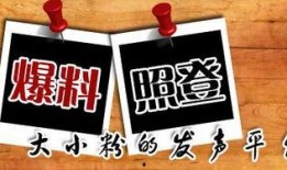 江门新闻爆料平台官网,实时掌握江门最新动态，共建和谐家园