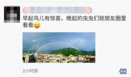 彩虹员工爆料视频大全,揭秘职场幕后真相