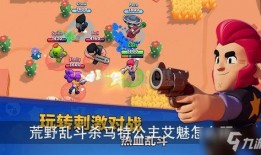 荒野乱斗司机爆料视频,揭秘游戏幕后秘密与精彩瞬间